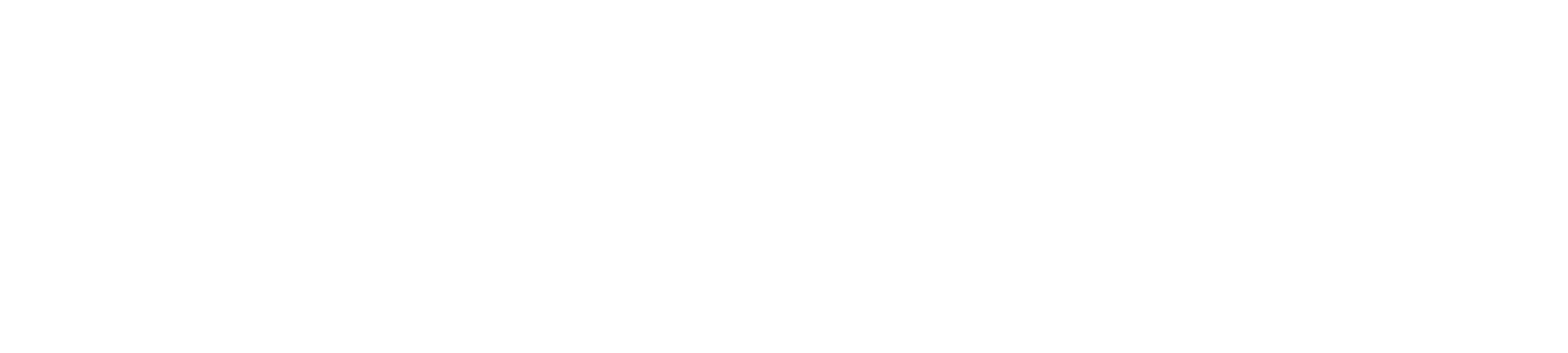 logo bianco Agim